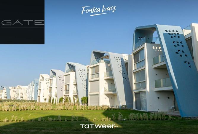 54232195 - Property Image 3