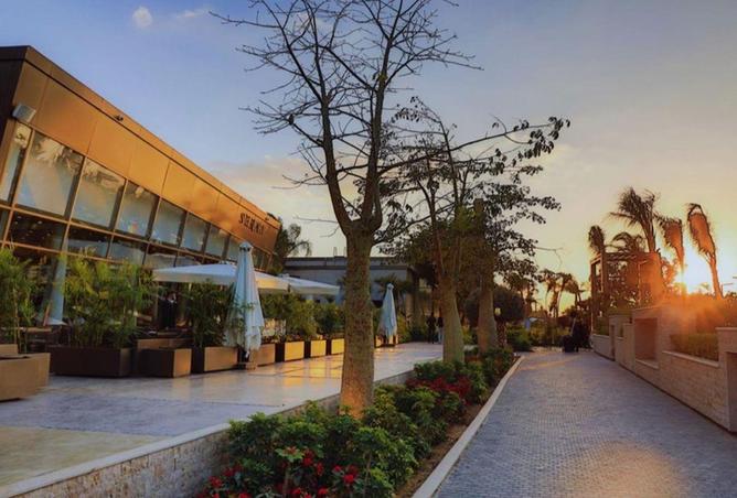 62159001 - صورة العقار 3