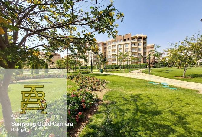 56508784 - صورة العقار 2