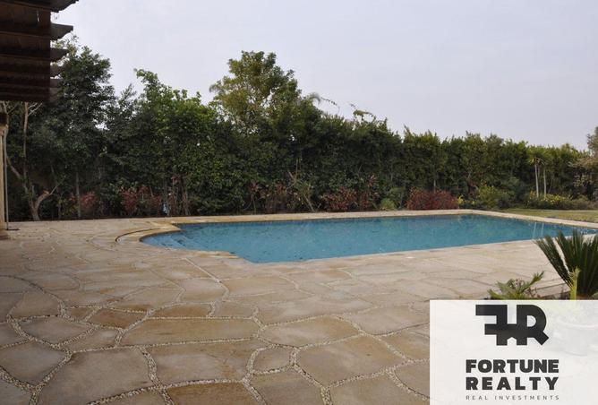 64894783 - صورة العقار 3