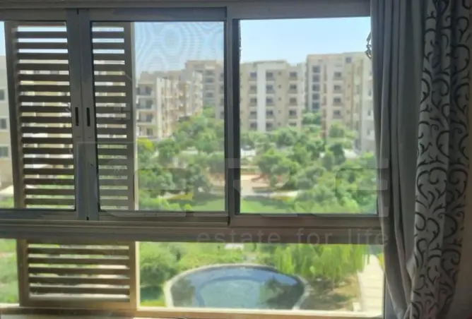 115449699 - Property Image 2