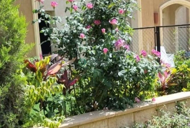 54497836 - Property Image 2