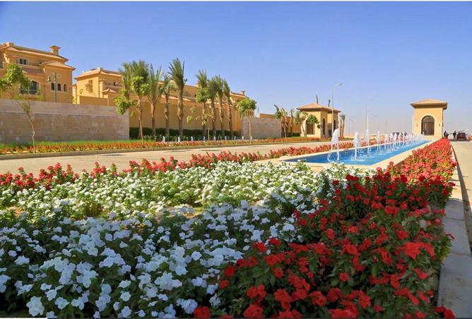 53734131 - Property Image 3