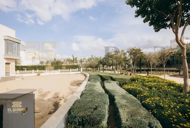 107123607 - Property Image 3