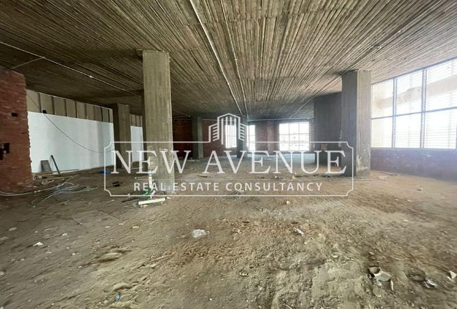 64134128 - Property Image 3