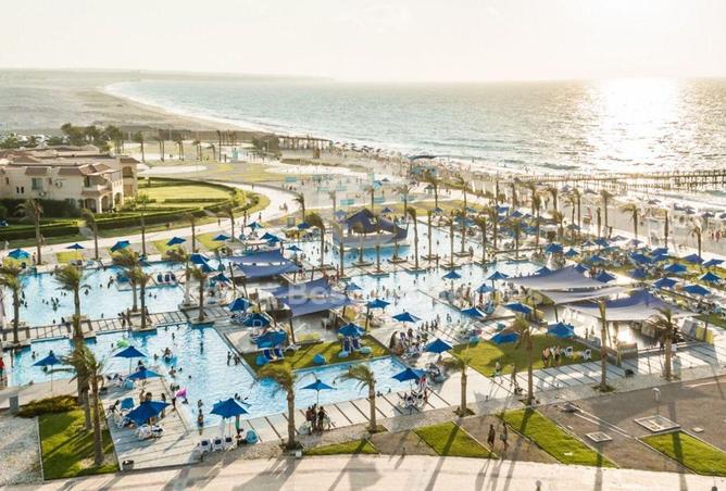 55501308 - Property Image 3