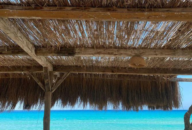 56510534 - صورة العقار 3