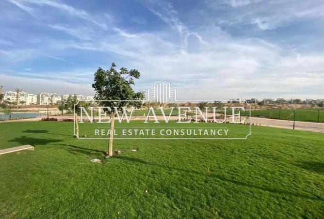 57491775 - Property Image 2