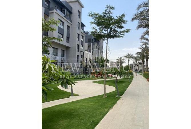 103473723 - Property Image 2