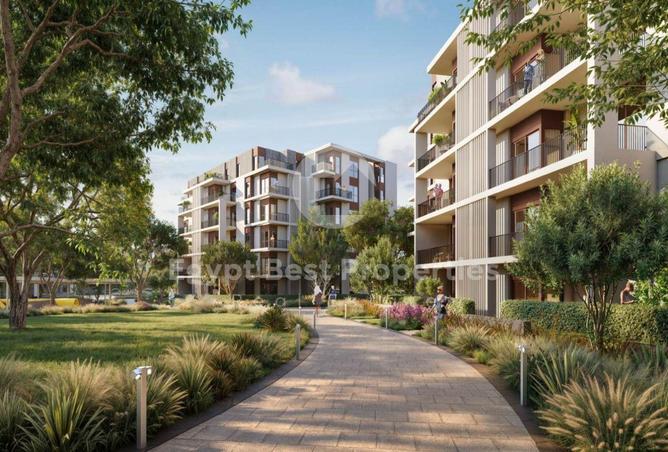 66437757 - Property Main Image