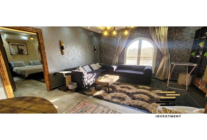 65663891 - صورة العقار 2