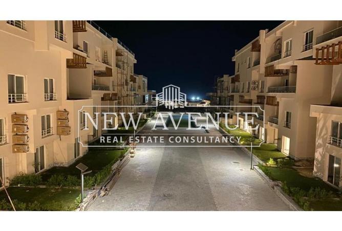 52707081 - Property Image 2