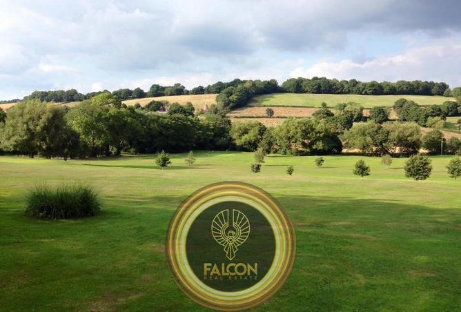 58985361 - صورة العقار 2