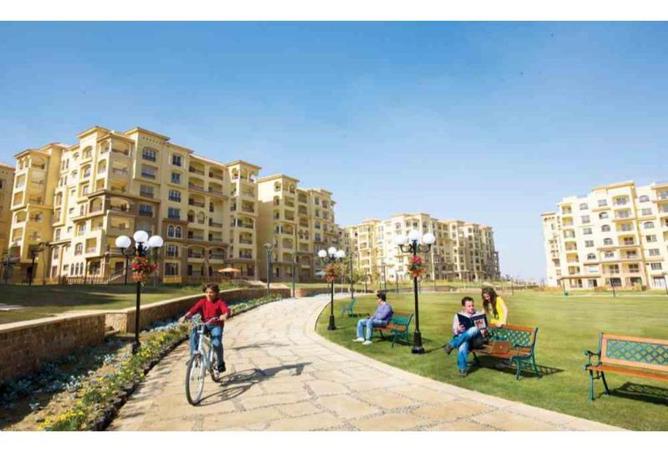 56002180 - Property Image 3