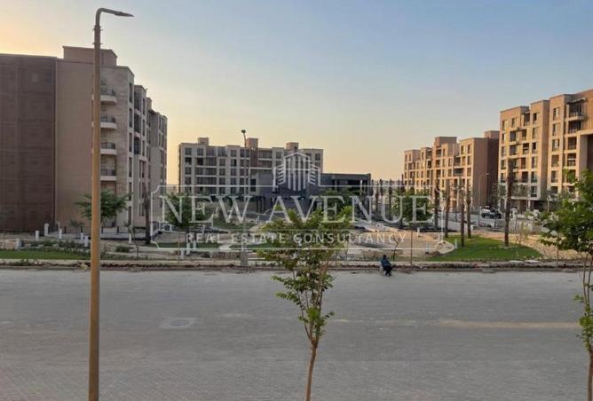 99117618 - Property Image 2