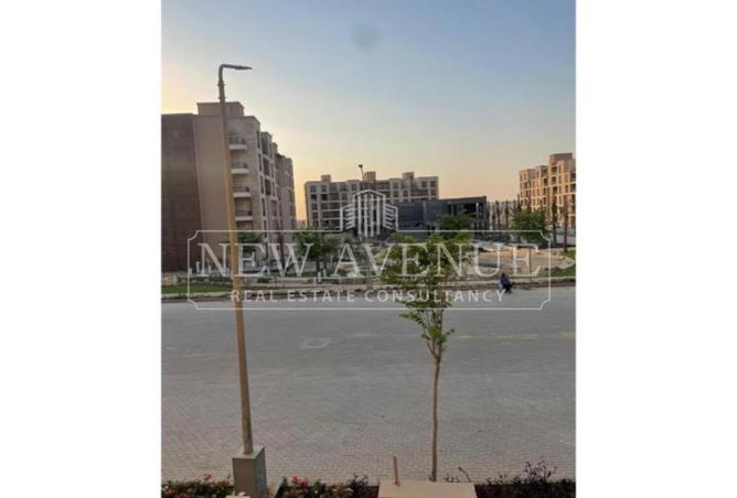 99117618 - Property Image 3