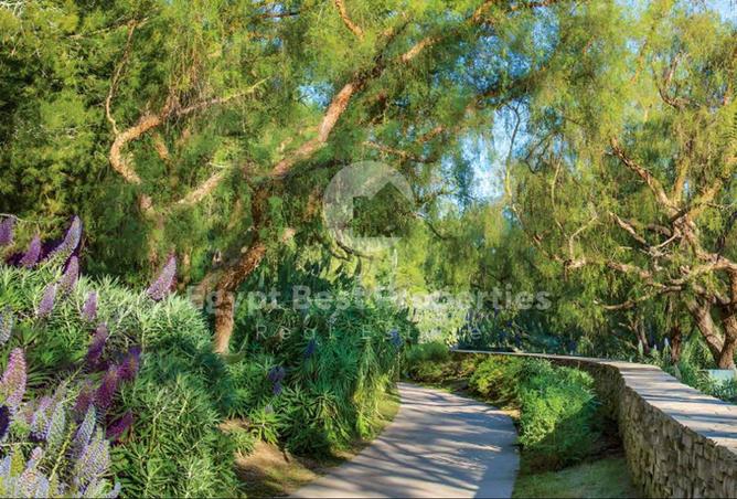 62409105 - Property Image 2