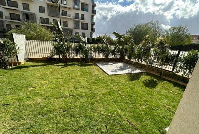 71393260 - Property Image 3