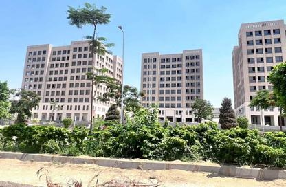 Office Space - Studio - 1 for sale in Arkan Palm 205 - Sheikh Zayed Compounds - Sheikh Zayed City - Giza