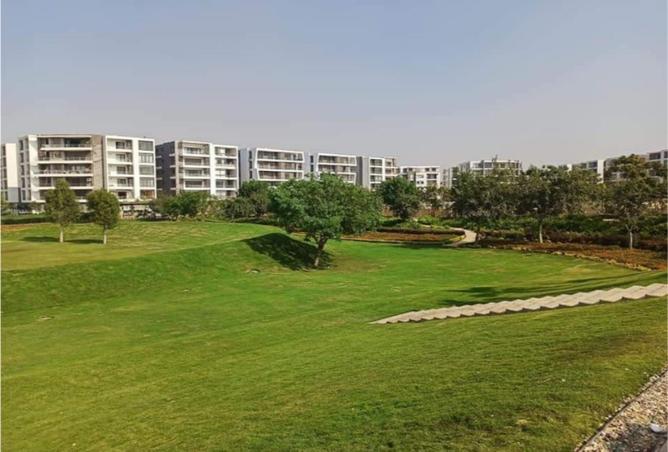 8579577 - صورة العقار 2