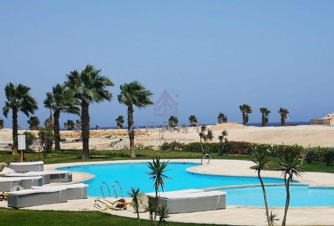 51175771 - Property Image 2