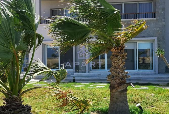 51175771 - Property Main Image