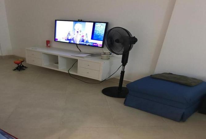 51172061 - Property Image 3