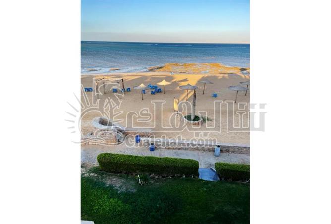 65921048 - صورة العقار 3