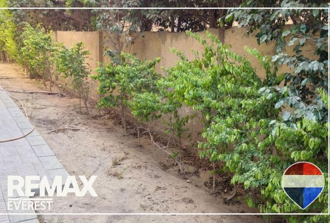 8658555 - صورة العقار 3