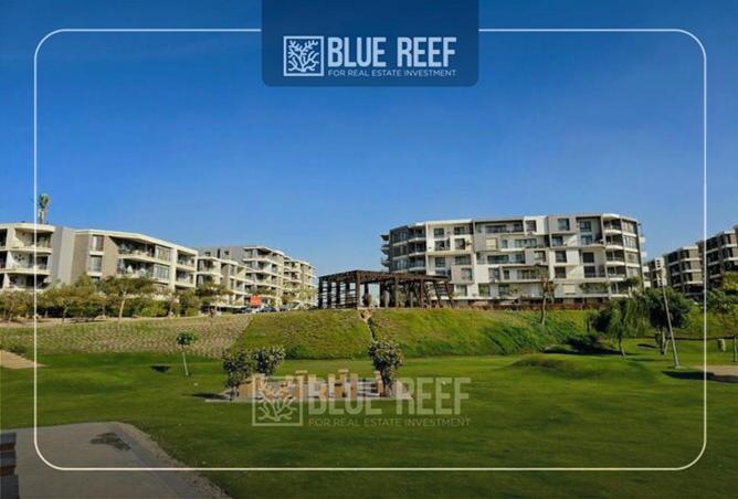 68795956 - صورة العقار 3