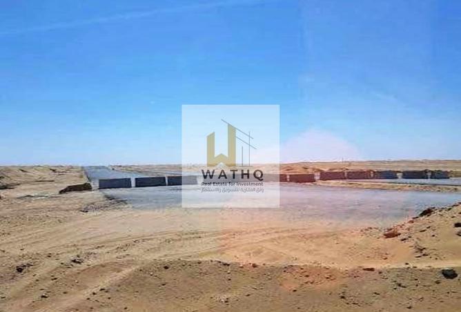 61441231 - Property Image 2