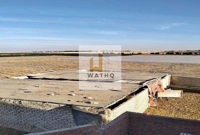 61441231 - Property Main Image