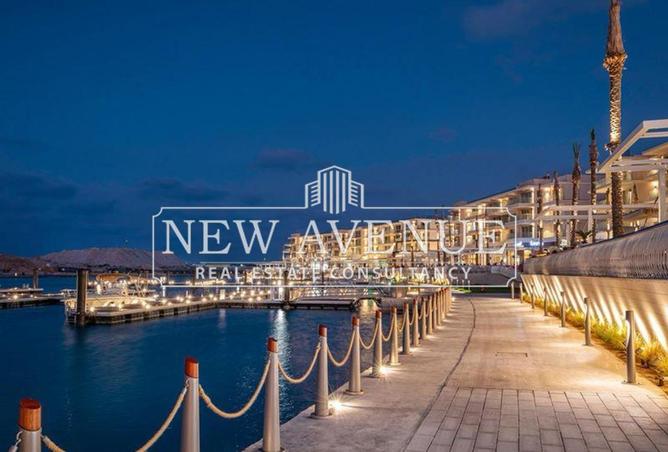 58243082 - Property Image 2