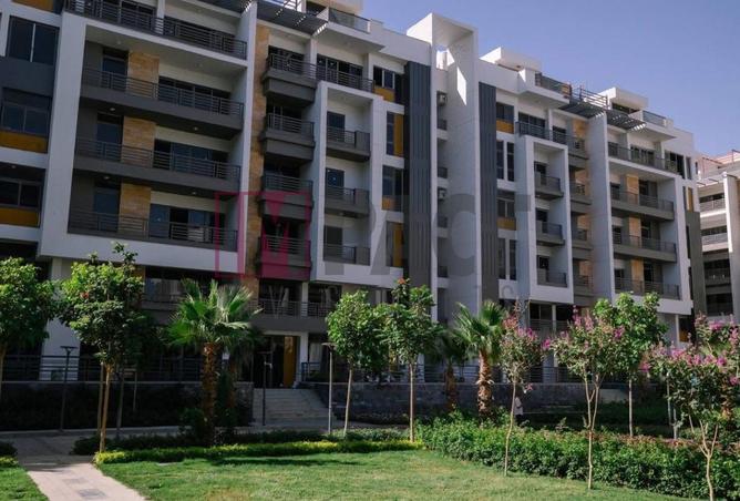 81841441 - Property Image 2