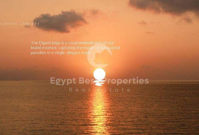 91010435 - صورة العقار 3