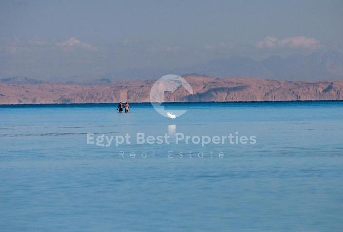 90165092 - صورة العقار 3