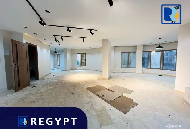 113525951 - Property Image 3