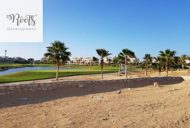 81053504 - Property Image 3