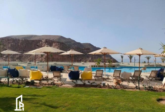 101789461 - صورة العقار 3