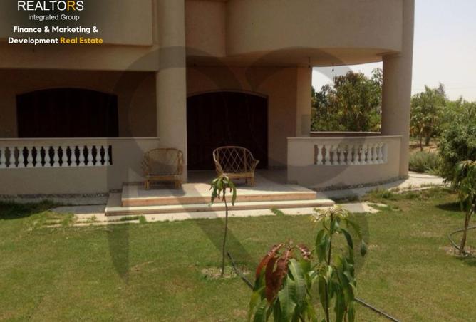 71650367 - Property Image 3