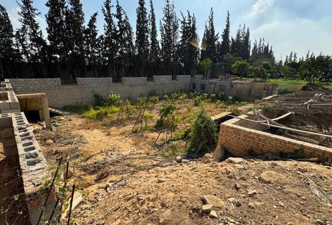 52444598 - صورة العقار 2