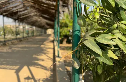 قطعة أرض - استوديو للبيع في جمعية احمد عرابى - مدينة العبور - القليوبية