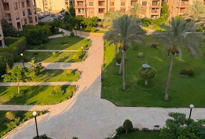95198116 - صورة العقار 3