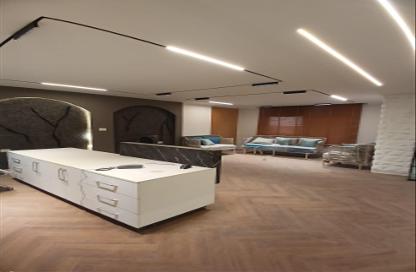 Office Space - Studio - 5 Bathrooms for rent in Mohi Al Din Abou El Ezz St. - Mohandessin - Giza