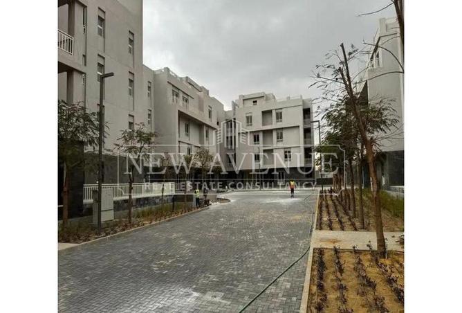 97718580 - Property Image 3
