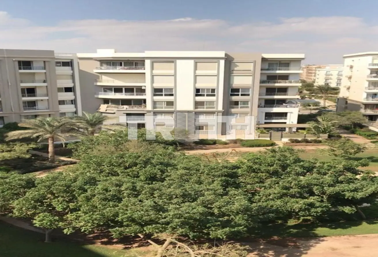 119317831 - Property Main Image