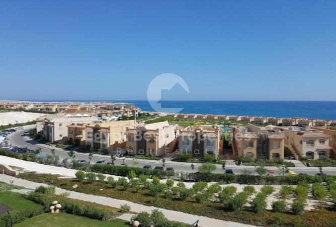 99812486 - صورة العقار 3