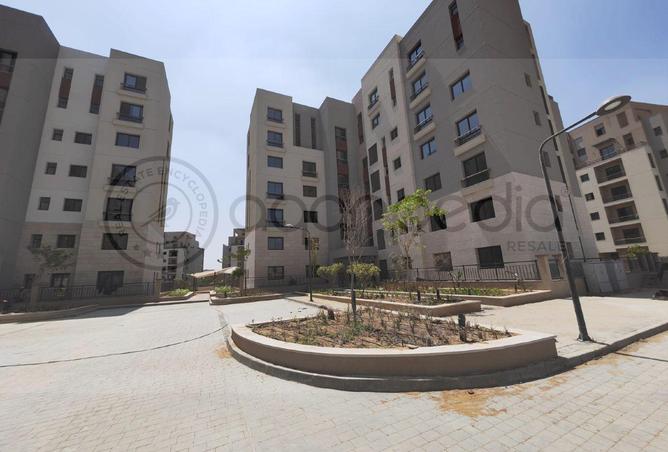 55639742 - Property Main Image