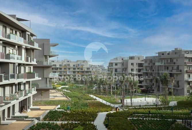 55756996 - Property Image 3