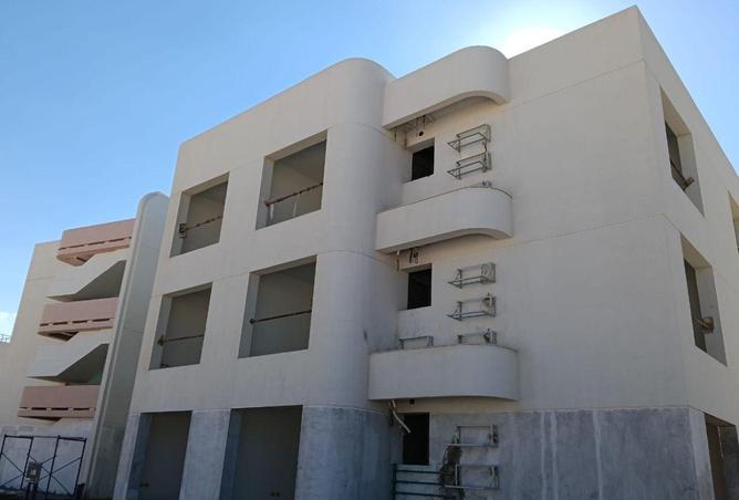 62642048 - Property Image 3